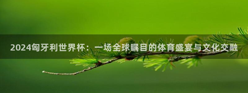 世界杯足球赛2026赛程时间：2024匈牙利世界杯：一场全球瞩目的体育盛宴与文化交融