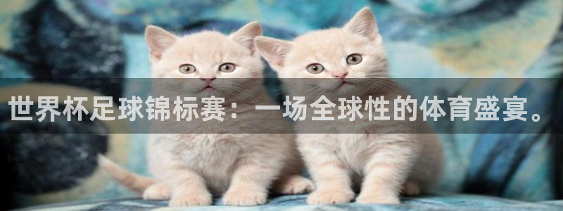 2006年世界杯冠军：世界杯足球锦标赛：一场全球性的体育盛宴。