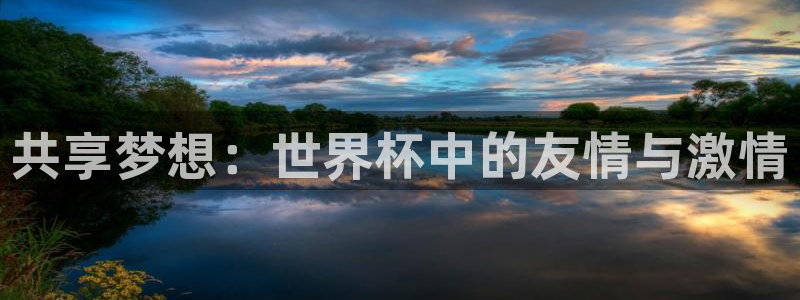 26世界杯：共享梦想：世界杯中的友情与激情