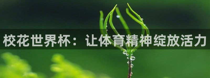 世界杯欧洲区赛程：校花世界杯：让体育精神绽放活力