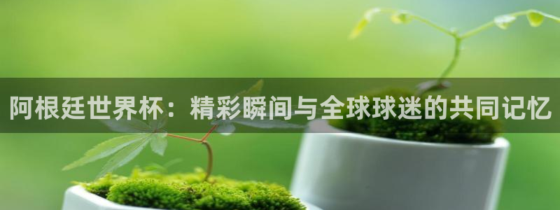 2026世预赛赛程表：阿根廷世界杯：精彩瞬间与全球球迷的共同记忆