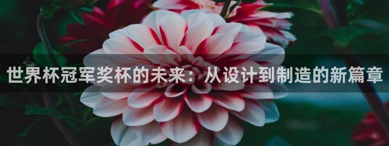 世界杯预选赛欧洲：世界杯冠军奖杯的未来：从设计到制造的新篇章