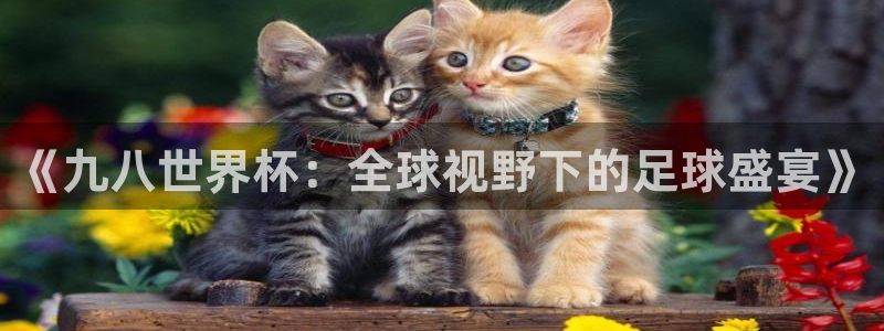2026世界杯亚洲区预选赛赛程：《九八世界杯：全球视野下的足球盛宴》