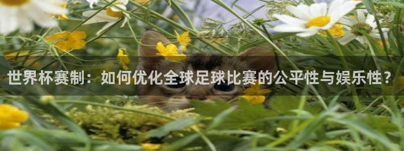 世界杯 直播：世界杯赛制：如何优化全球足球比赛的公平性与娱乐性？