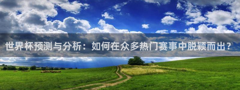 2026年世界杯：世界杯预测与分析：如何在众多热门赛事中脱颖而出？