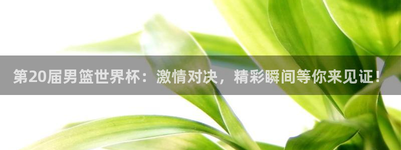 世界杯小组赛赛程：第20届男篮世界杯：激情对决，精彩瞬间等你来见证！