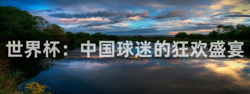 足球世界杯2026：世界杯：中国球迷的狂欢盛宴